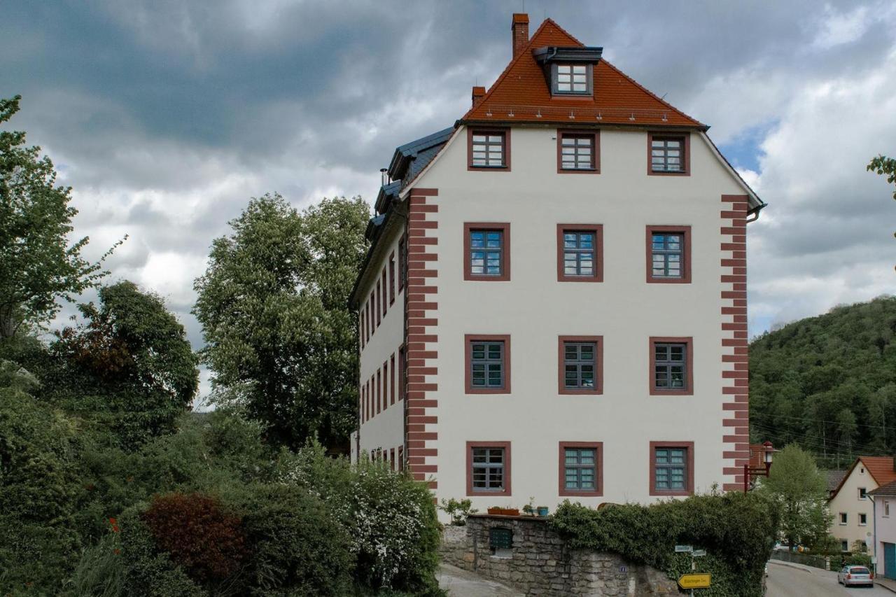 Appartamento Schloss-Muehlen Horb am Neckar Esterno foto